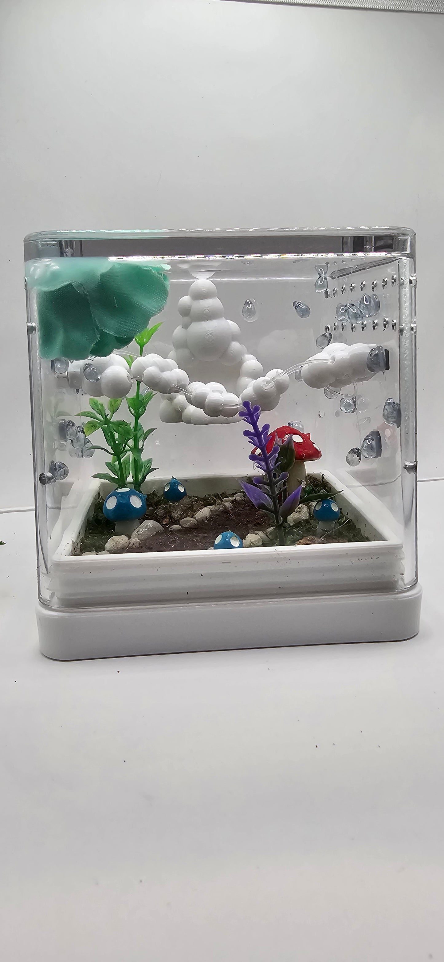 Raincloud Retreat Enclosure