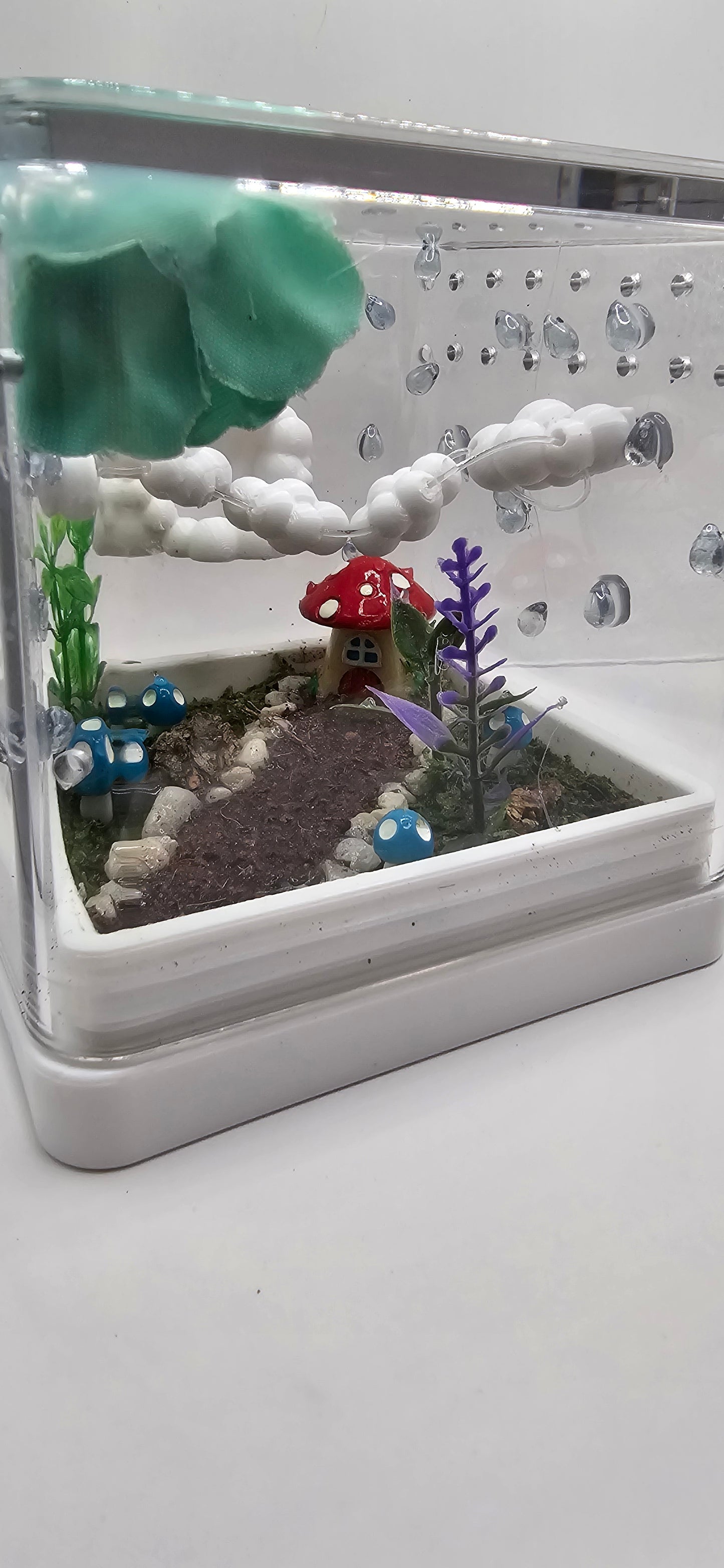 Raincloud Retreat Enclosure