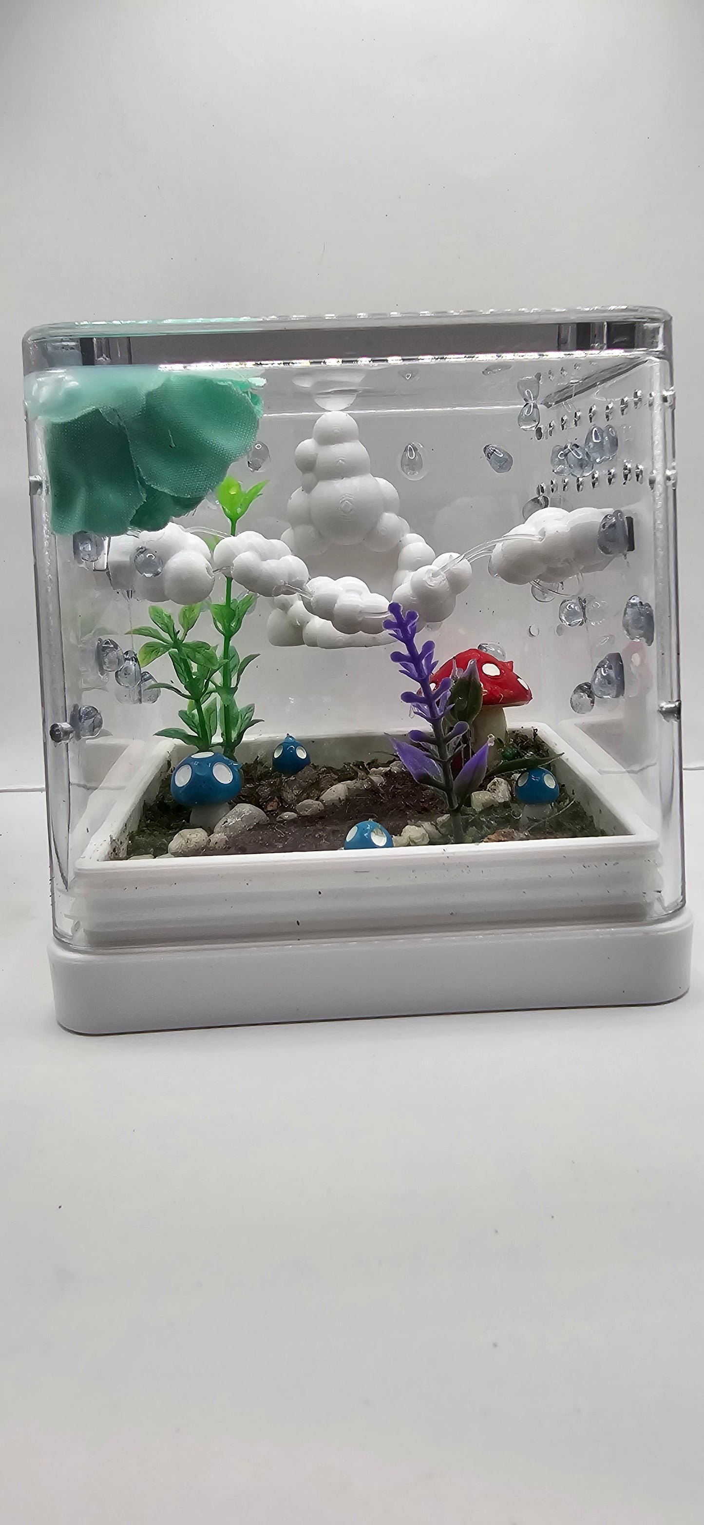 Raincloud Retreat Enclosure