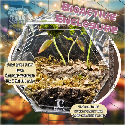 Hexagon Bioactive Enclosure