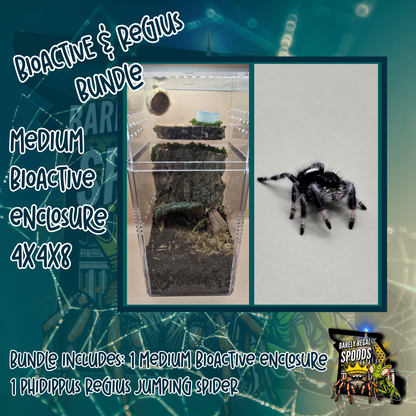 Regal & Med Bioactive Enclosure Bundle