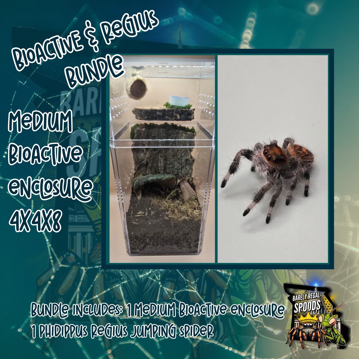 Regal & Med Bioactive Enclosure Bundle