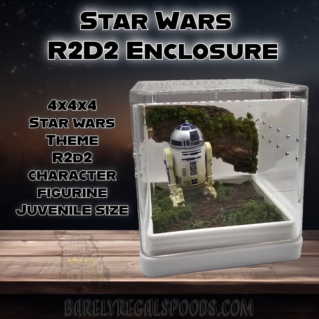 Star Wars R2D2 Enclosure