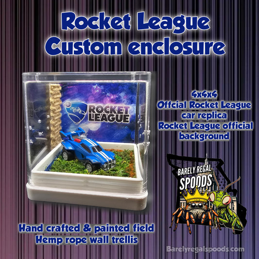 Rocket League Game Enclosure