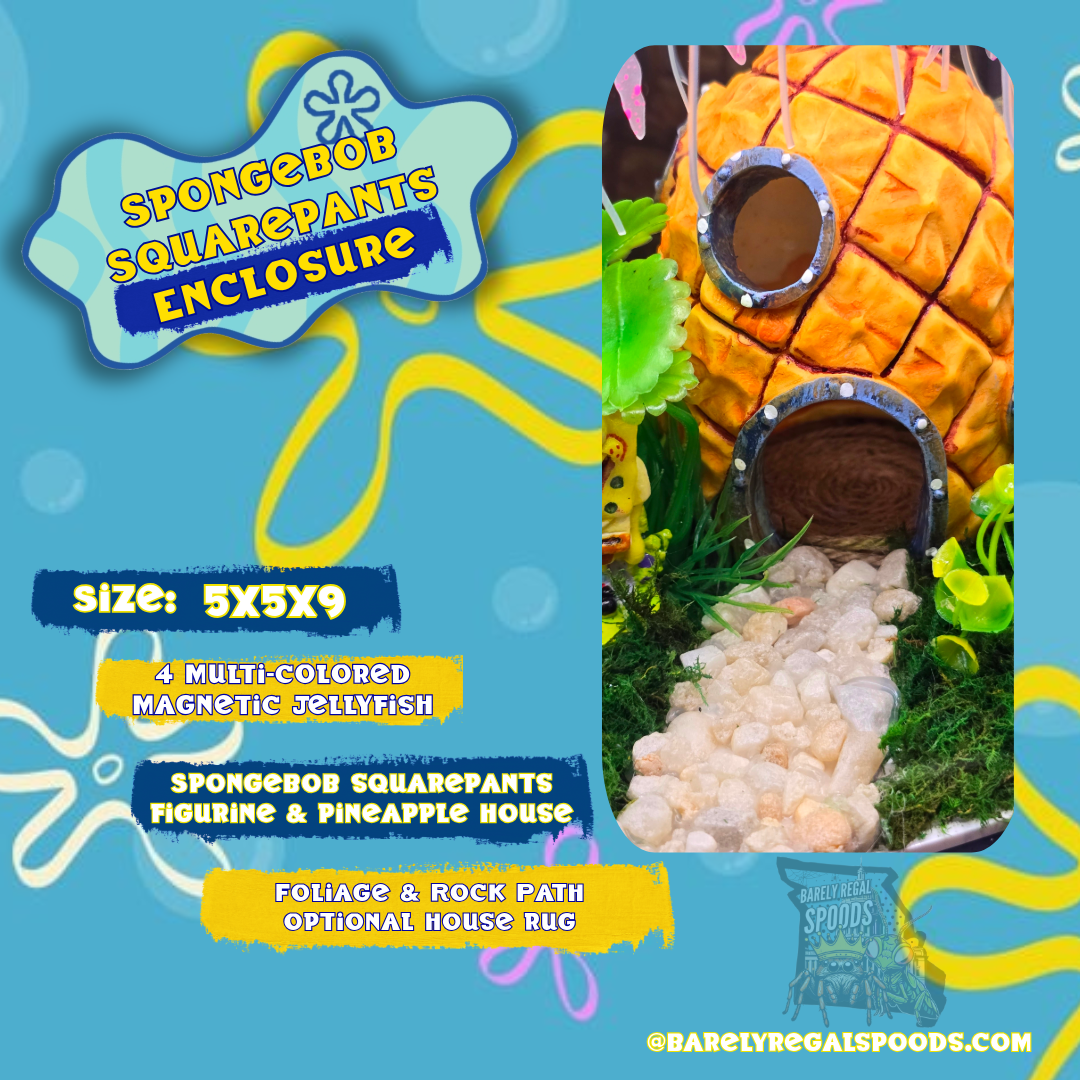 SpongeBob SquarePants Jumping Spider Enclosure