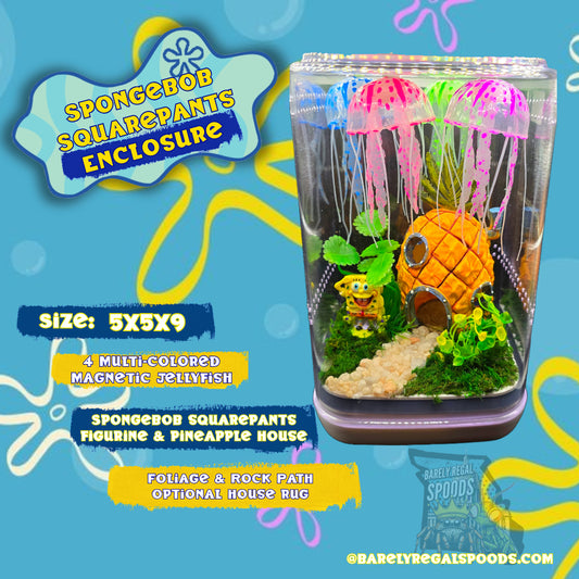 SpongeBob SquarePants Jumping Spider Enclosure